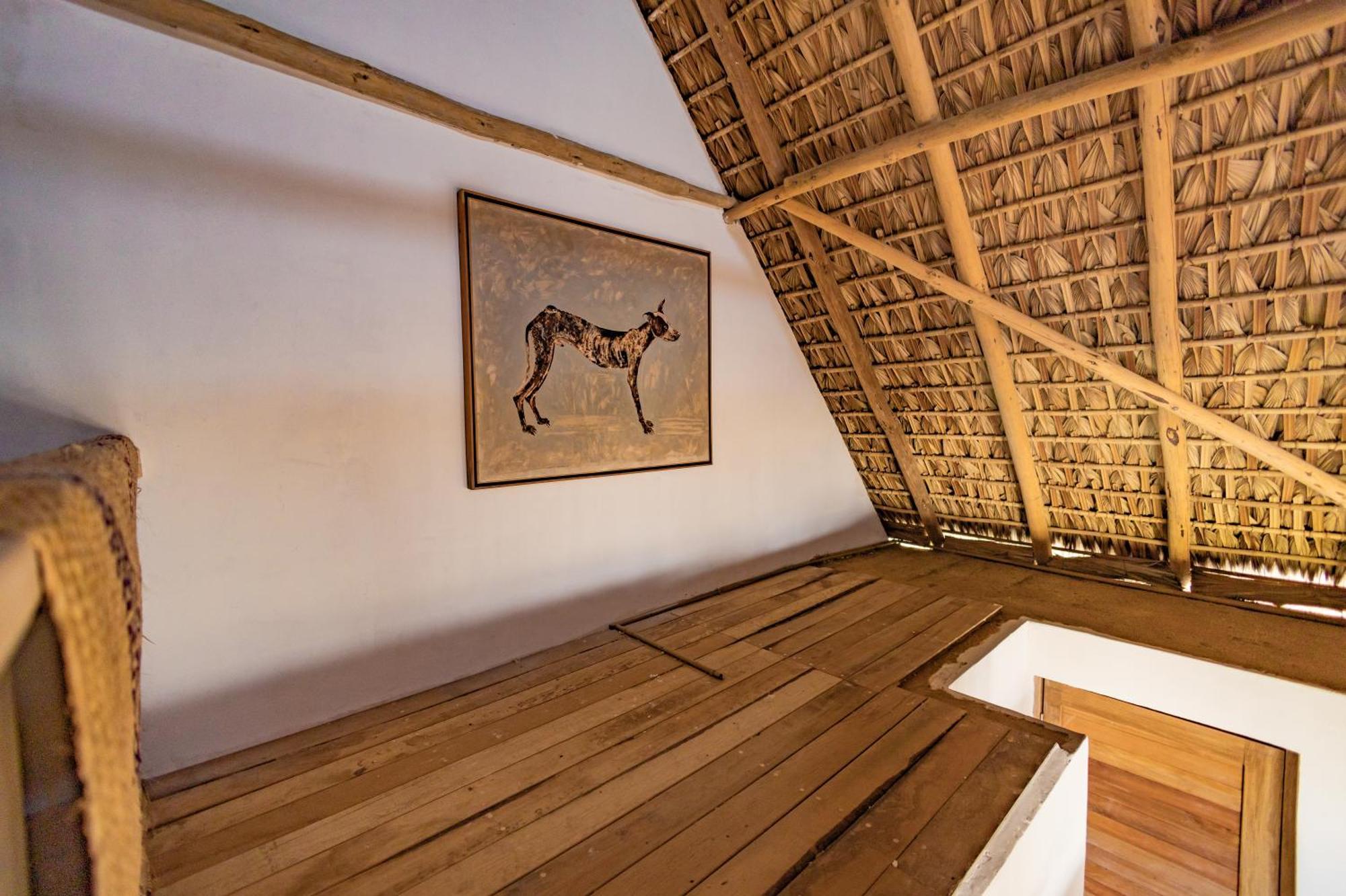 Casa Torito Mermejita 马祖特 外观 照片